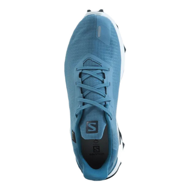 Alphacross 3 Gtx W Bluestone/wht/mallard Blue